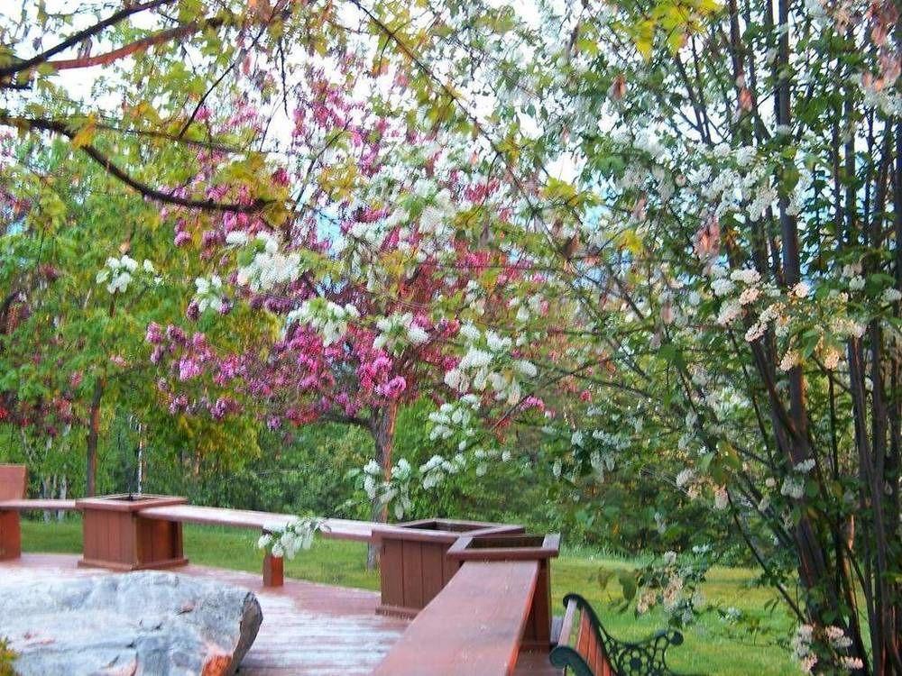 غولدن Kapristo Lodge المظهر الخارجي الصورة