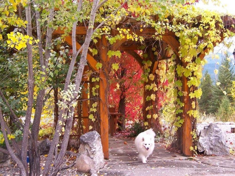 غولدن Kapristo Lodge المظهر الخارجي الصورة